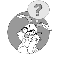 Hare asking question: