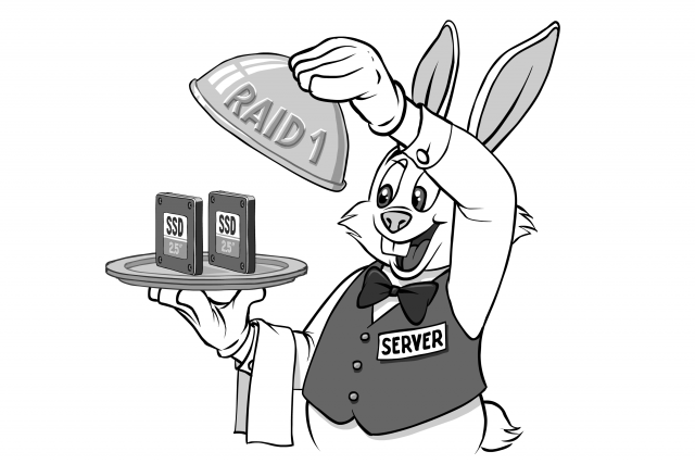 Server, RAID-1, and SSDs